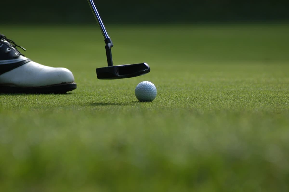 Hình ảnh gói Putting Master